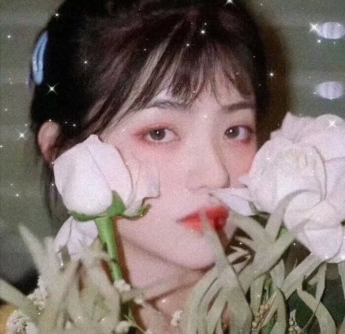 柏油探戈